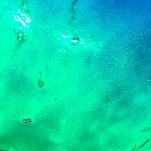 Meet your Posher, Allyson